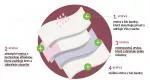 Organyc Majtki menstruacyjne z bawełny organicznej - bardzo chłonne S