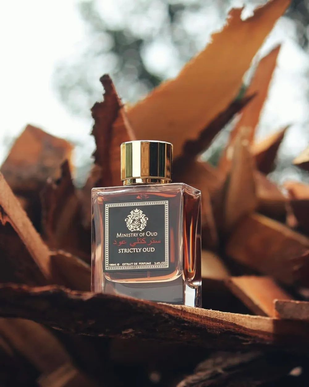 Strictly Oud ekstrakt perfum unisex 100 ml