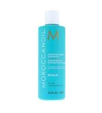 Moisture Repair Shampoo szampon regenerujący 250 ml