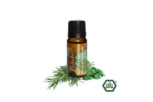 Natasha Mieszanka olejków eterycznych (10 ml) - Inspiracja i koncentracja