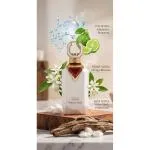Noble Cedar ekstrakt perfum unisex 100 ml