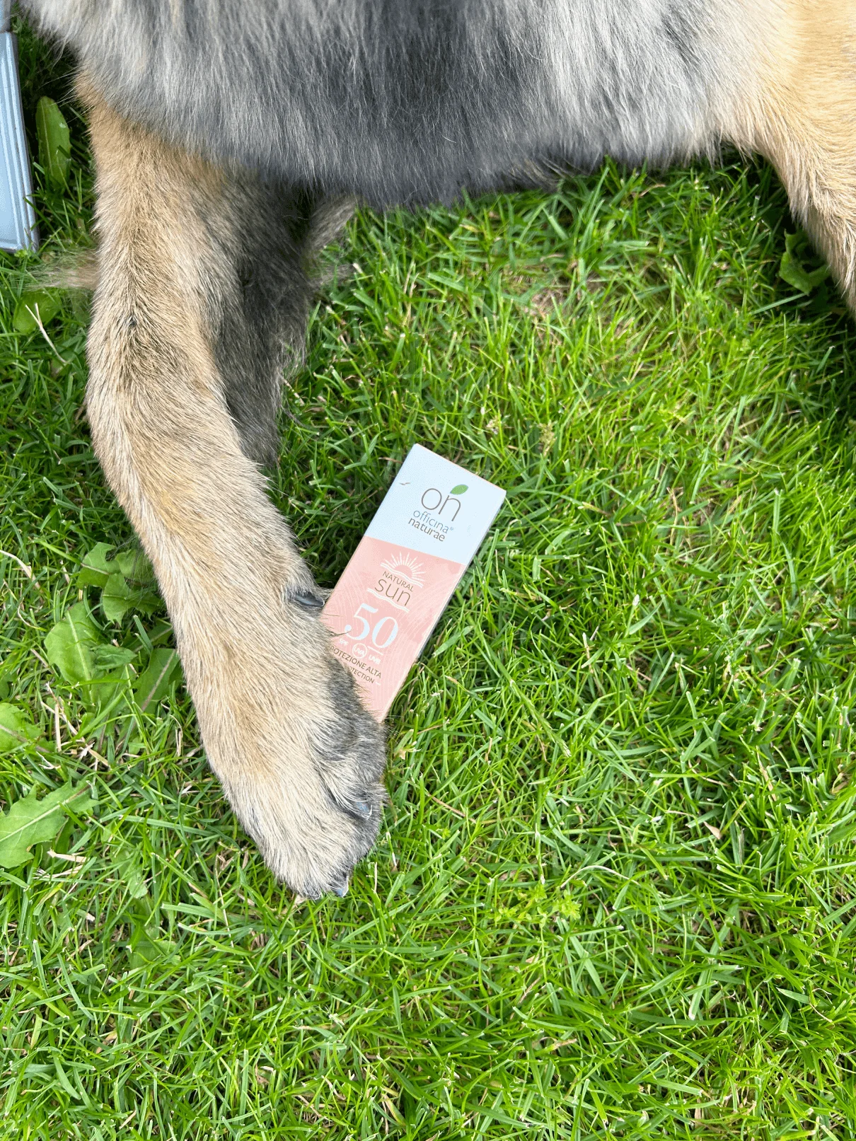Officina Naturae Krem przeciwsłoneczny do twarzy SPF 50 - ujędrniający (30 ml) - do wszystkich rodzajów skóry