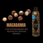 Szampon z olejowym ekstraktem 400 ml