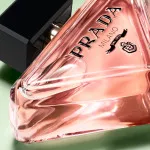 Paradoxe woda perfumowana dla kobiet 50 ml