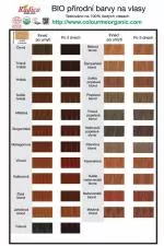 Radico Naturalna farba do włosów BIO (100 g) - burgund