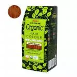 Radico Naturalna farba do włosów BIO (100 g) - złoty blond