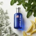 Polo Sport woda toaletowa dla mężczyzn 75 ml