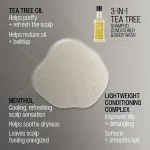 Szampon-Odżywka-Żel do mycia ciała 3 w 1 Tea Tree dla mężczyzn 350 ml
