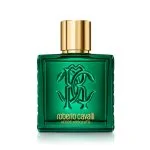 Uomo Verde Assoluto woda perfumowana dla mężczyzn 100 ml