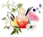 Royal Princess Oud woda perfumowana dla kobiet 75 ml