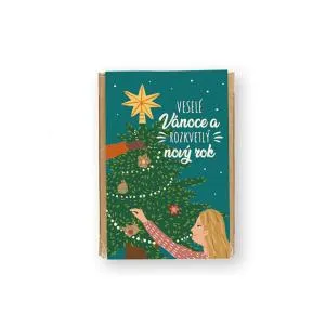 Blossombs Bombki nasienne - Mini zestaw upominkowy - Magiczne Święta (4 szt.)