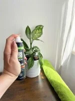 SO’BiO étic Dezodorant naturalny ECO SPRAY 24h MEN - cedr BIO (100 ml) - skuteczny aż do 24 godzin