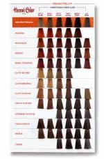 Henné Color Odżywka do włosów farbowanych o wysokim stopniu ochrony i pielęgnacji Premium Végétal 100ml Blond