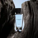 Touch for Men woda toaletowa dla mężczyzn 100 ml
