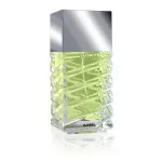 Vision 100 ml