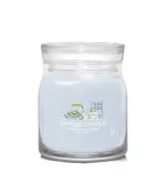 A Calm & Quiet Place świeca signature średnia 368 g