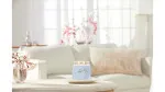 Clean Cotton signature świeca średnia 368 g