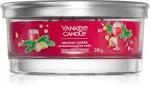 Holiday Cheer signature tumbler 5 knotów 340 g
