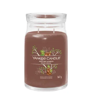 Yankee Candle Praline & Birch signature duża świeca 567 g