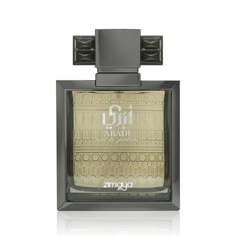 Abadi Saga woda perfumowana dla mężczyzn 100 ml