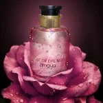Rose of Dreams W woda perfumowana 100 ml