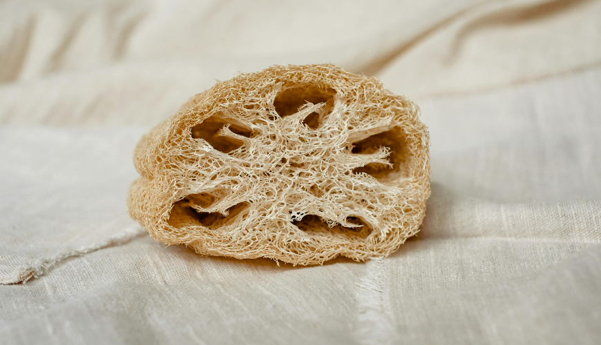 Naturalna gąbka luffa to mały cud na co dzień