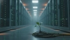 # Jak wpływa wolny internet na ślad węglowy

Wolny internet może mieć zaskakująco istotny wpływ na ś