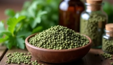 Jak prawidłowo stosować nasiona pokrzywy dla zdrowia