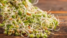 Dowiedz się, jak kiełki poprawiają zdrowie i witalność