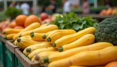 Odkryj przepisy z dynią makaronową i zachwyć całą rodzinę